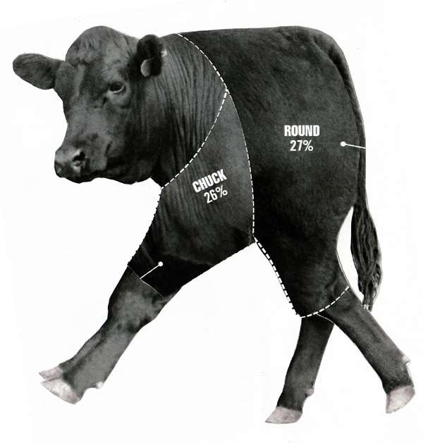 Cow, 2009