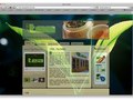 Web 2, 2011