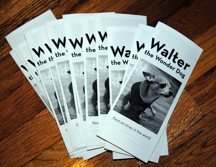 Pamphlet for Typography Class, 2011