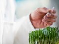 Alberta Innovates Tech Futures conducting research on Nanocrystalline-Cellulose properties