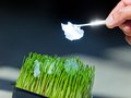 Alberta Innovates Tech Futures conducting research on Nanocrystalline-Cellulose properties