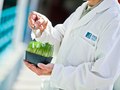 Alberta Innovates Tech Futures conducting research on Nanocrystalline-Cellulose properties