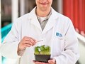 Alberta Innovates Tech Futures conducting research on Nanocrystalline-Cellulose properties