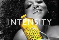Pine Sol: tv/print/outdoor