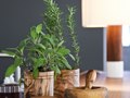 Interior decorating Greenwich, Bo Bedre Magazine