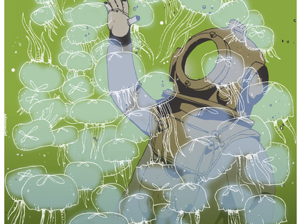 FancyDiver 2009