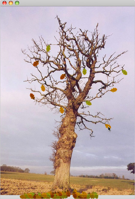 Interactive game - Contre nature (2005)