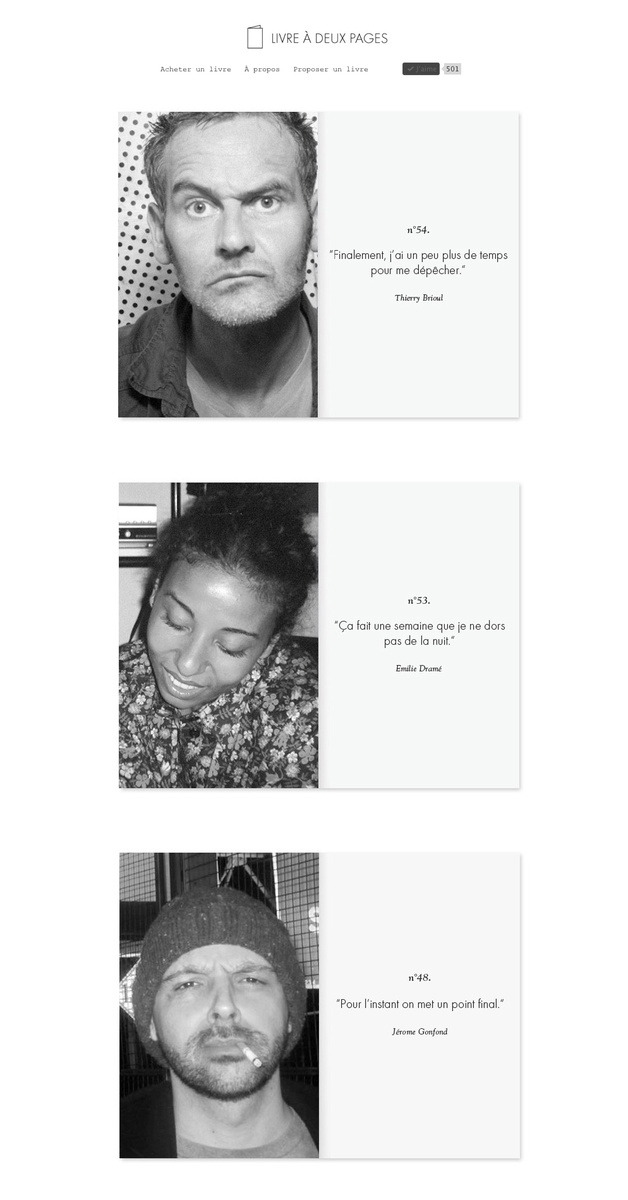 Livre à deux pages - Website (2010)