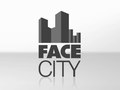 BMW - FaceCity - Case study (2011)