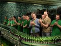 Goldenbrau for McCann