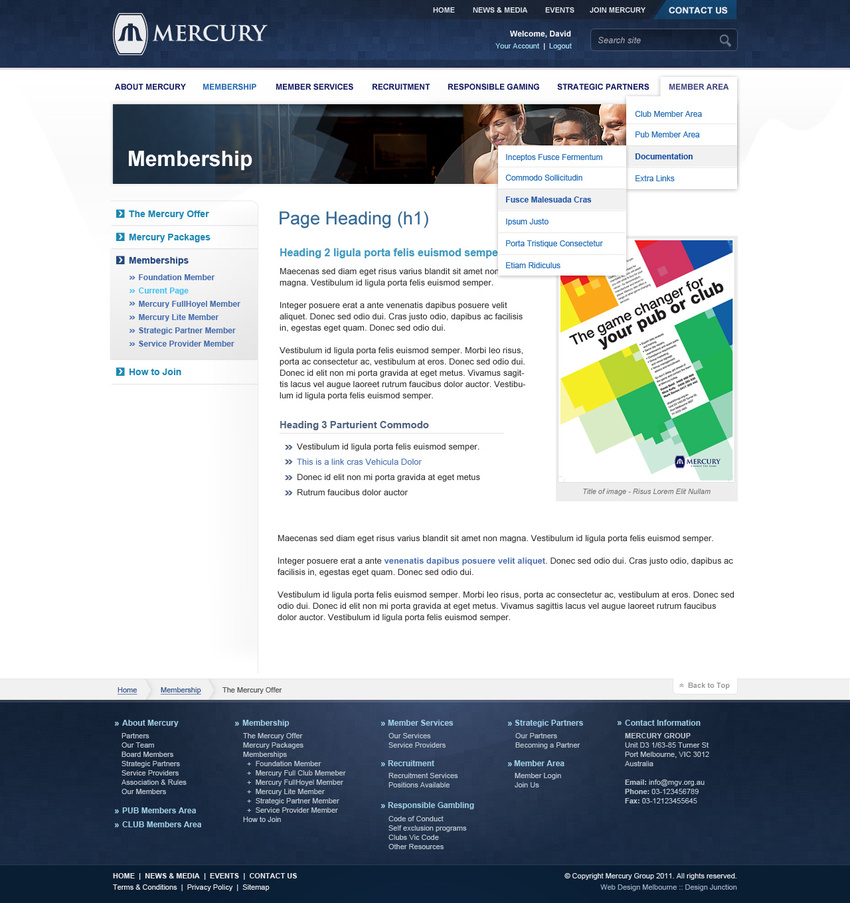 Mercury Group
