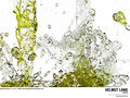 Helmut Lang | Parfums