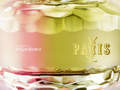 Yves saint Laurent | Parfums