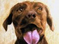Bogart - Oil on canvas - 9 x 11 in.     - n/a -