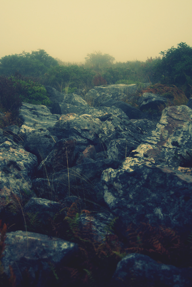 Rocks. West Virginia