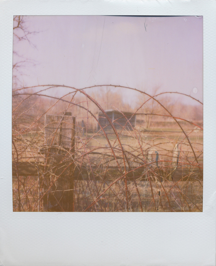 polaroid SX-70 Sonar. Z-artistic film.