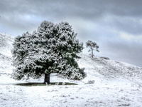 Polar Blast, 25 July 2011 . Tukairangi Rd, Taupo . Email design@martinleeday.co.nz for Canvas Art orders