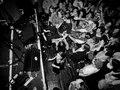 Palma Violets