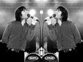 Head Automatica - Darryl Palumbo