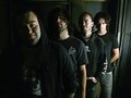 Black Lungs