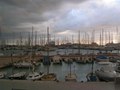 Palma