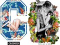 Cuckoo