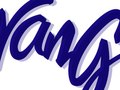 Boomerang Logo (Cartoon Network)