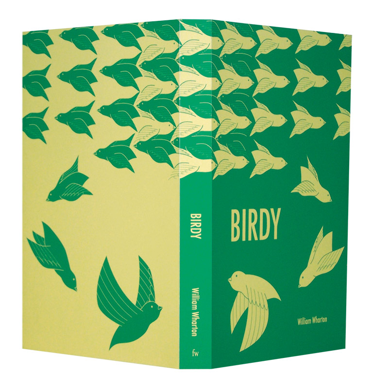 Birdy Book Jacket Concept