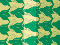Birdy Book Jacket Concept