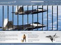 Promo transition state / Lockheed Martin