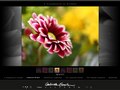 Portfolio site / www.gabrielasmithgallery.com