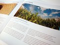 Qorvis marketing brochure spread