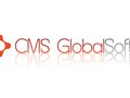 Branding system for a shipping systems software provider / www.cmsglobalsoft.com