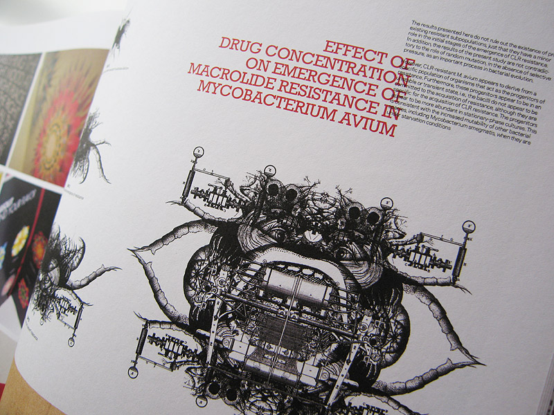 MAMJ featured in design magazine Territory