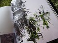 MAMJ featured in design magazine Territory