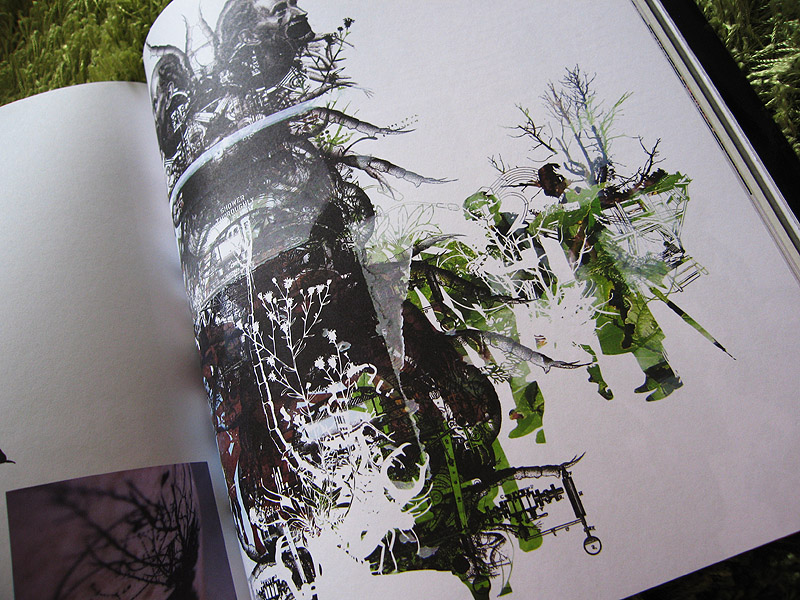 MAMJ featured in design magazine Territory