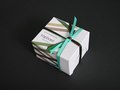 packaging concept and invitation card for new born Raphael