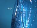 This 2008 Calendar is a collection of photographs of simple objects from around my apartment.