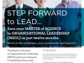 2008 MSOL flyer