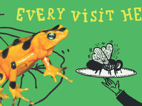 Denver Zoo Frog Billboard — Designed by McClain Finlon Advertising