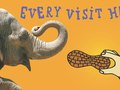 Denver Zoo Elephant Billboard — Designed by McClain Finlon Advertising