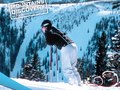 Breckenridge Ski & Ride Ad — Designed by McClain Finlon Advertising