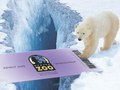 Denver Zoo Ads — Designed by McClain Finlon Advertising
