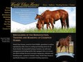 World Class Horses - Website Development