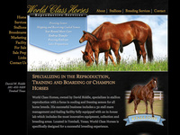 World Class Horses - Website Development