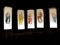 Tableau: Pukekura Park, New Plymouth, Taranaki, Aotearoa New Zealand
