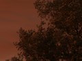 Stillframe from the film For Thousands of Miles