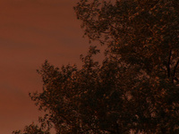 Stillframe from the film For Thousands of Miles
