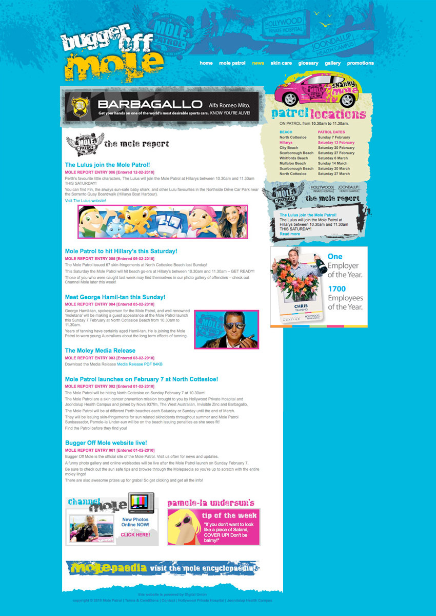 Website design for buggeroffmole.com.au