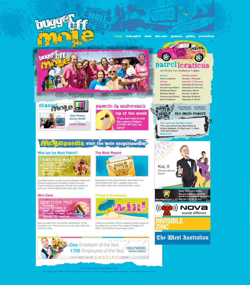 Website design for buggeroffmole.com.au